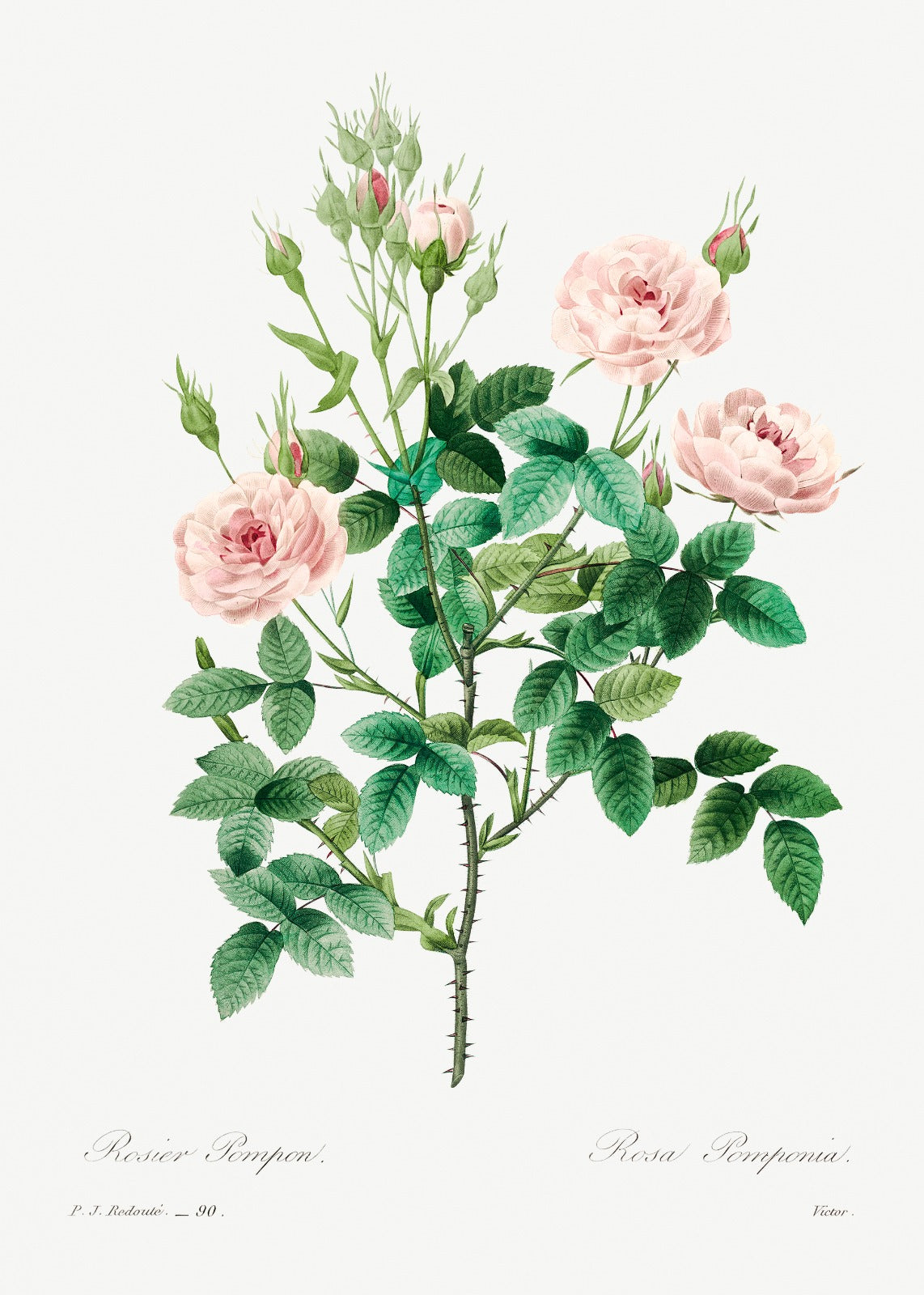Give the Gift of Beautiful Letters